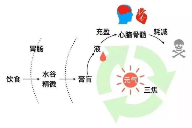 搞懂了人體三焦所有疑難雜症都迎刃而解