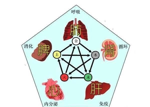 人體五臟六腑出問題時,身體會有哪些信號?