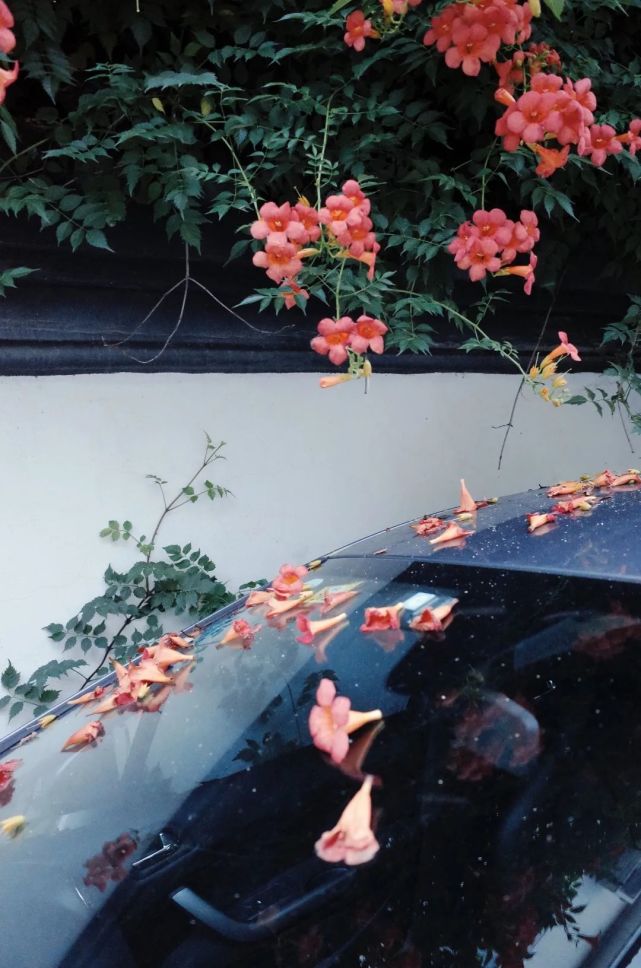 袁洁初学者要把学摄影的重点放到画面中来