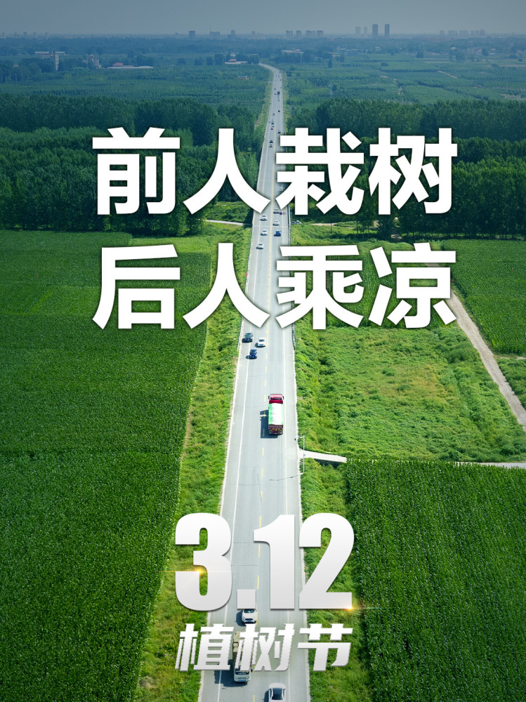 海报前人栽树后人乘凉这些绿色真美