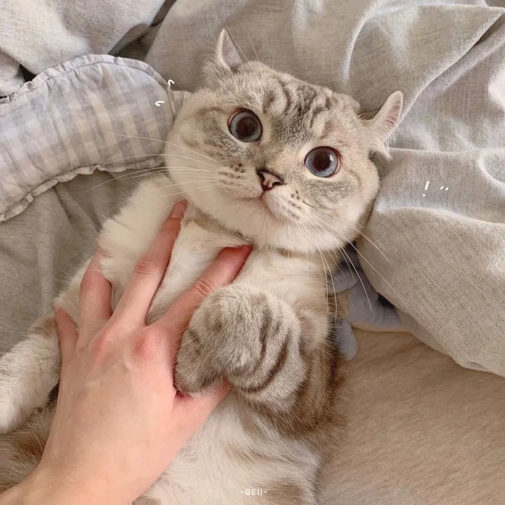 情头丨情侣头像