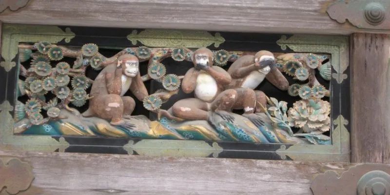 无力|无力感与道德困境