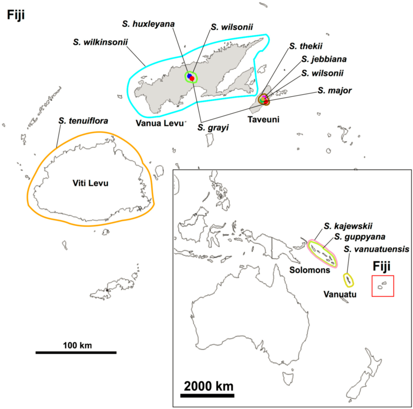 一棵树|一棵树被砍倒的背后，是它们整个世界的崩塌