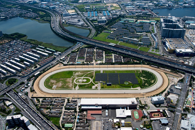 为什么赛马可以成为日本的二次元狂欢