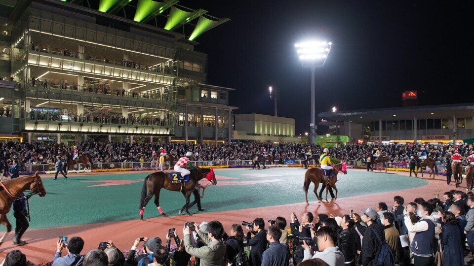 为什么赛马可以成为日本的二次元狂欢