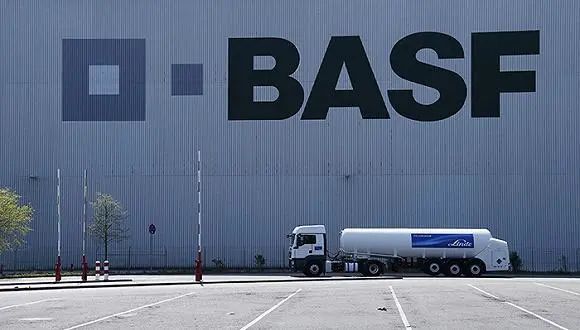 种子|各个农业强国都在拼“种业”，我国如何打赢种业翻身仗？