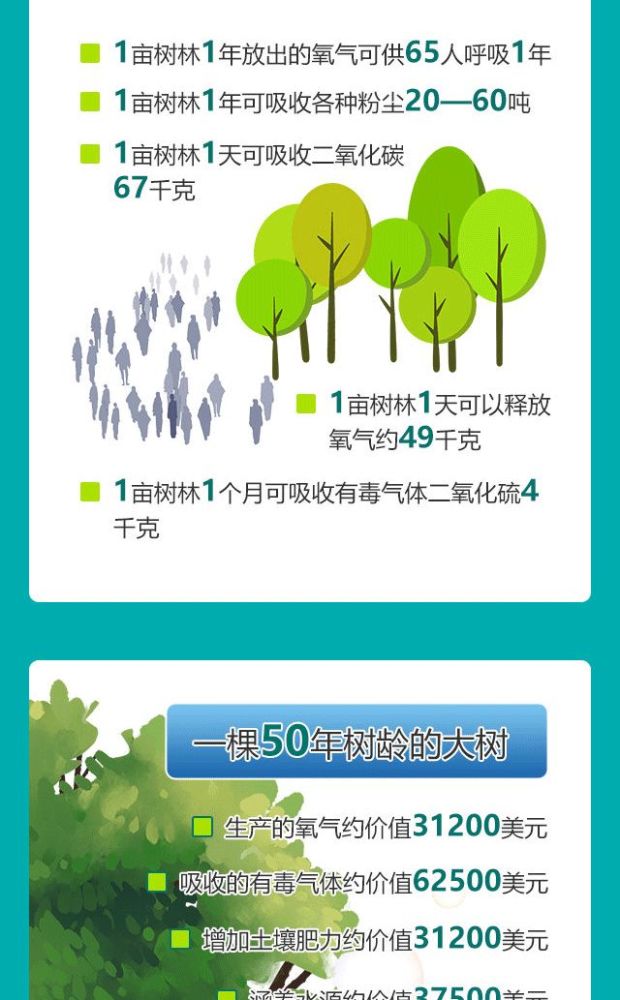 植树节这些数字带你了解一棵树木的价值