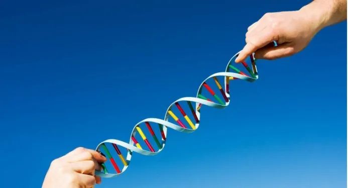 生殖隔离|生殖隔离的意义是什么？动物之间有杂交后代，仅人类与生物隔离？