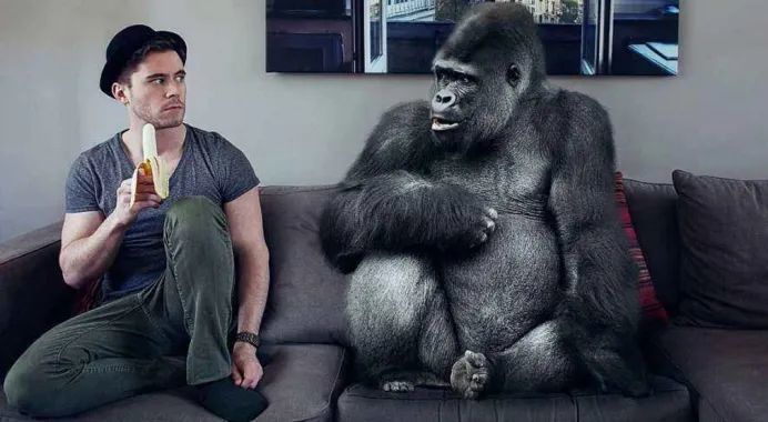 生殖隔离|生殖隔离的意义是什么？动物之间有杂交后代，仅人类与生物隔离？