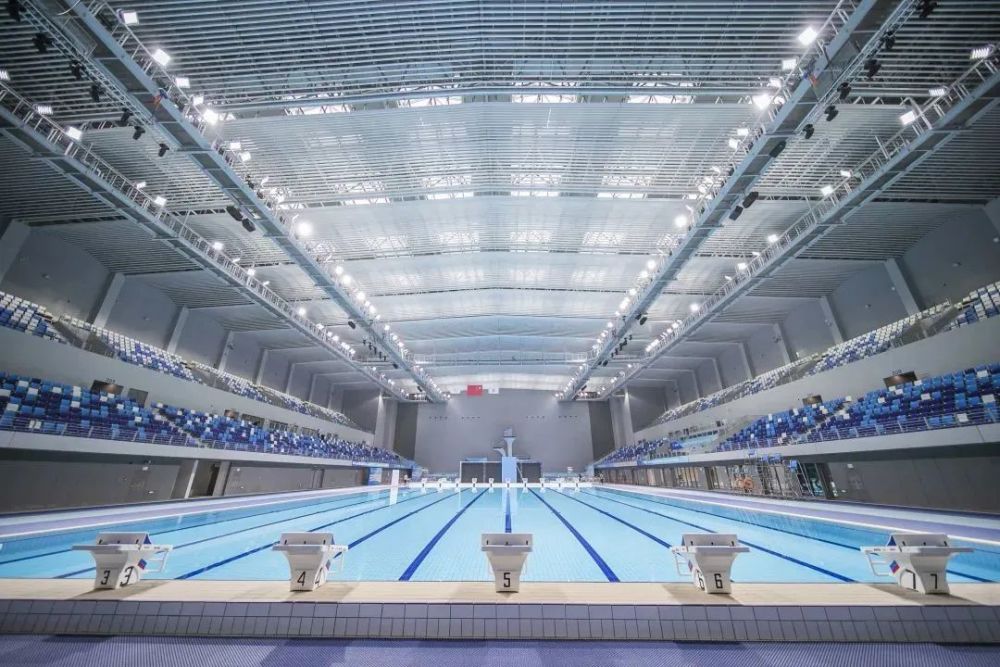 四大奥运冠军领衔全运跳水测试赛今天开启