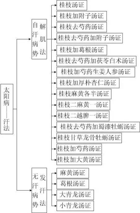伤寒论六经系统完整图解一目了然
