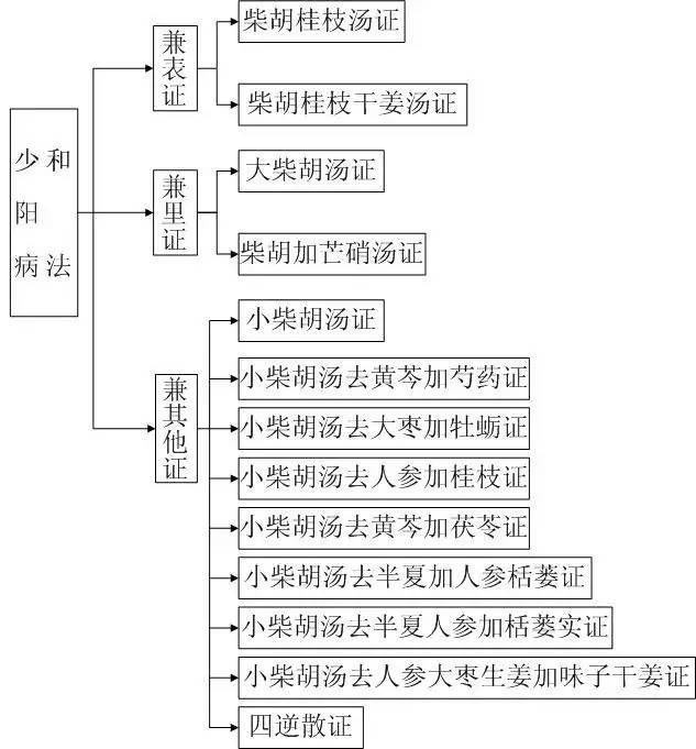 伤寒论六经系统完整图解一目了然