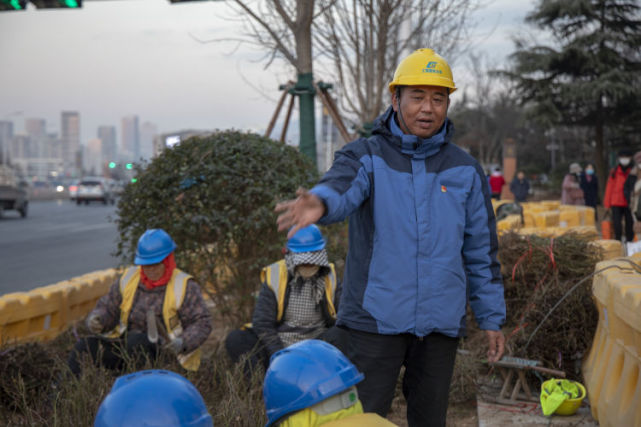 记者深入城市绿化一线城市里的农务人栽树种花耕耘勤