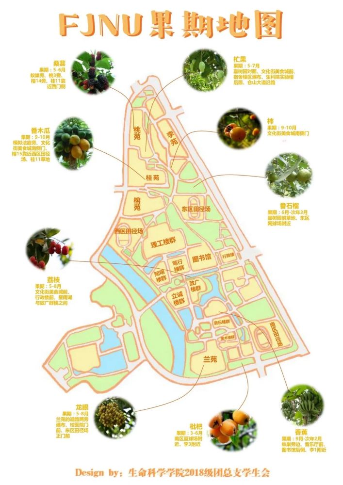 送给你一份福建师大校园花果地图