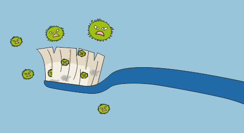 看看牙刷上的细菌就知道了!