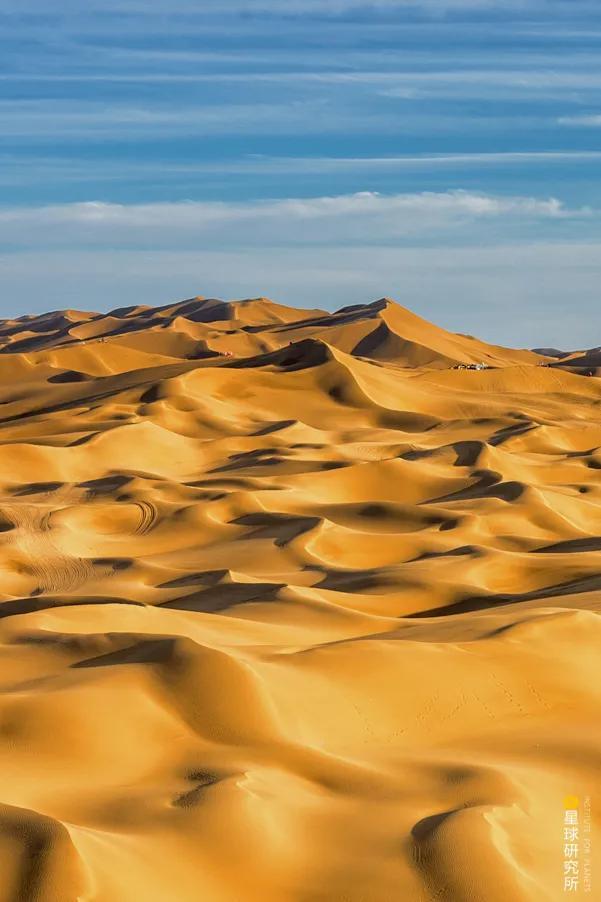 摄影师|植树造林，如何改变中国？