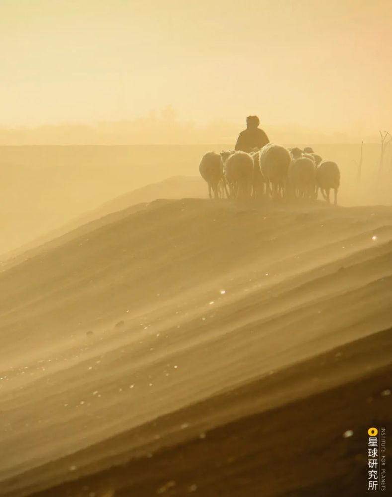 摄影师|植树造林，如何改变中国？