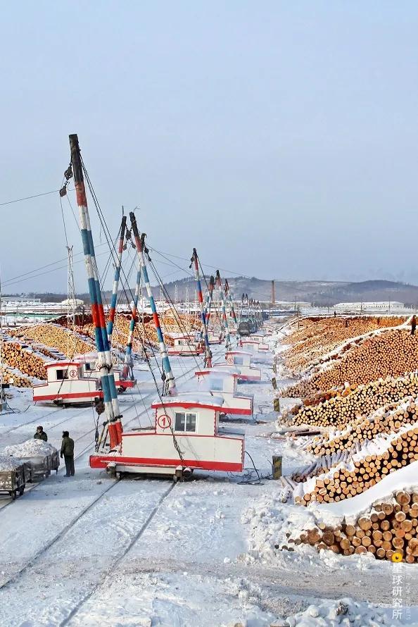 摄影师|植树造林，如何改变中国？