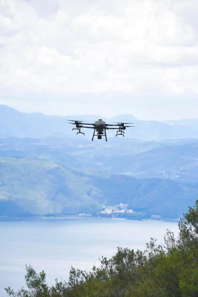 摄影师|植树造林，如何改变中国？
