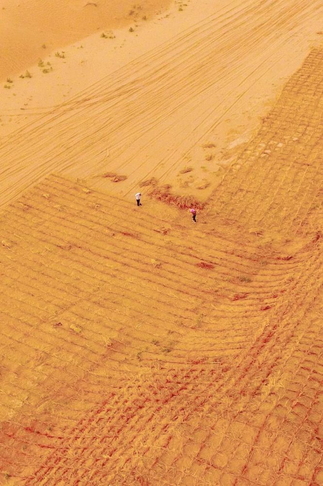 摄影师|植树造林，如何改变中国？