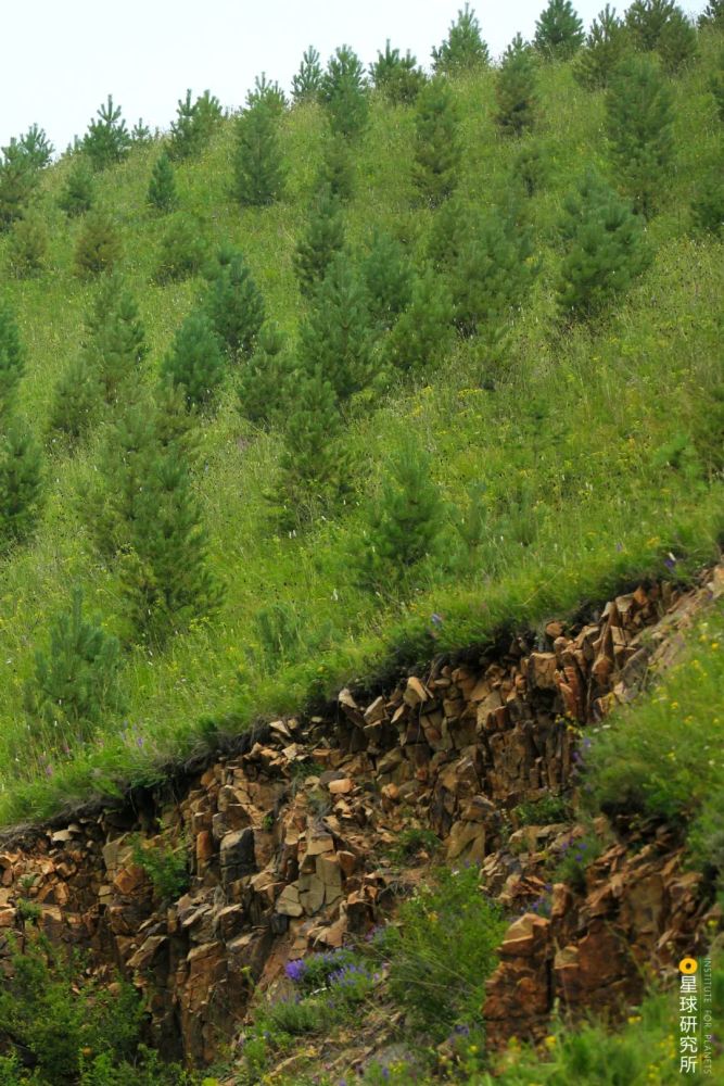 摄影师|植树造林，如何改变中国？