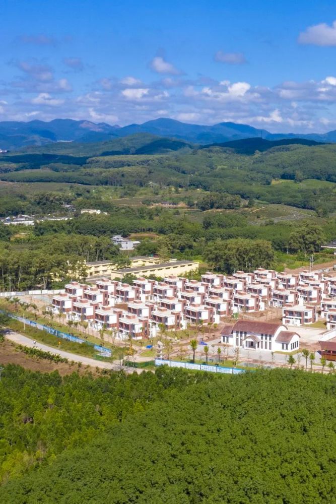 摄影师|植树造林，如何改变中国？