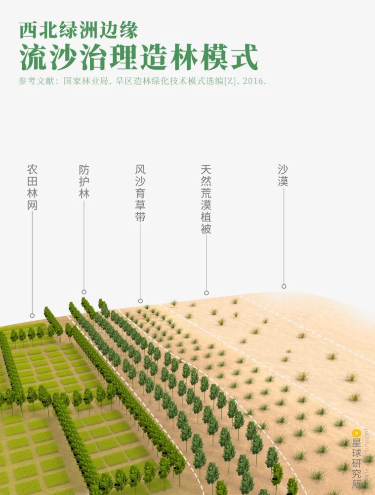 摄影师|植树造林，如何改变中国？