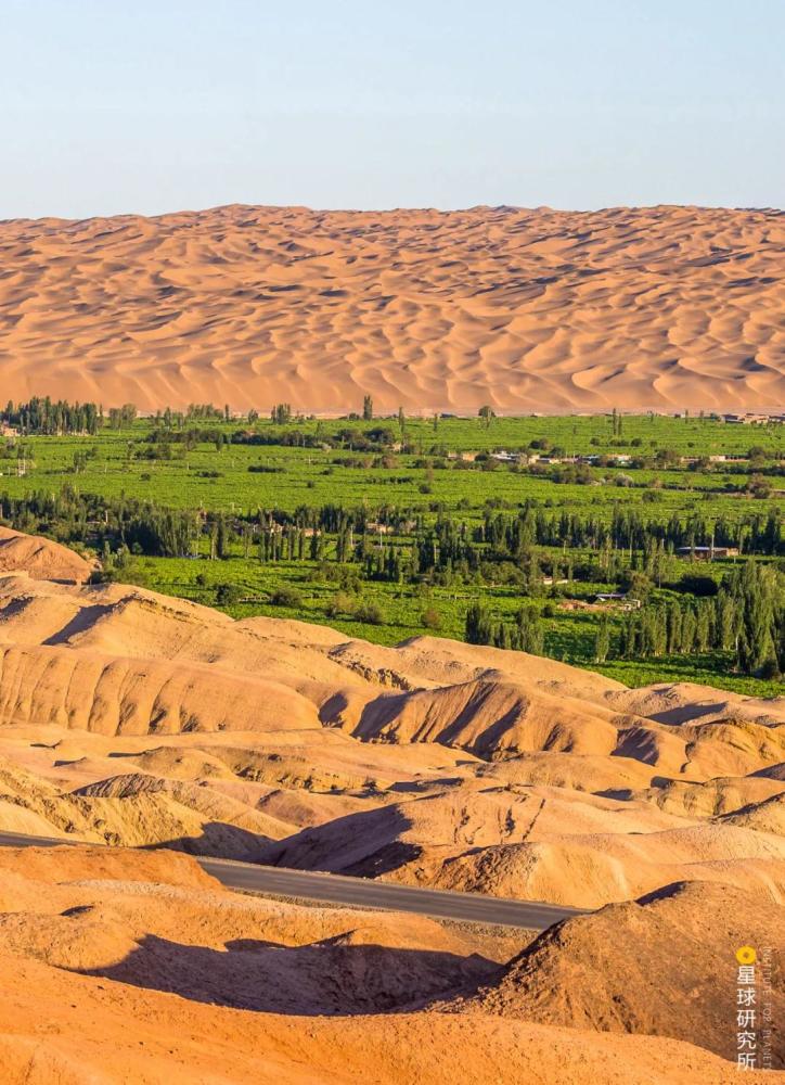 摄影师|植树造林，如何改变中国？