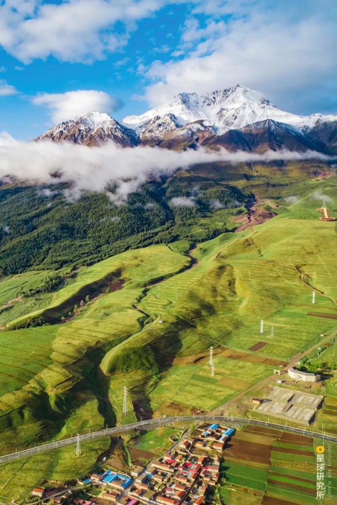 摄影师|植树造林，如何改变中国？