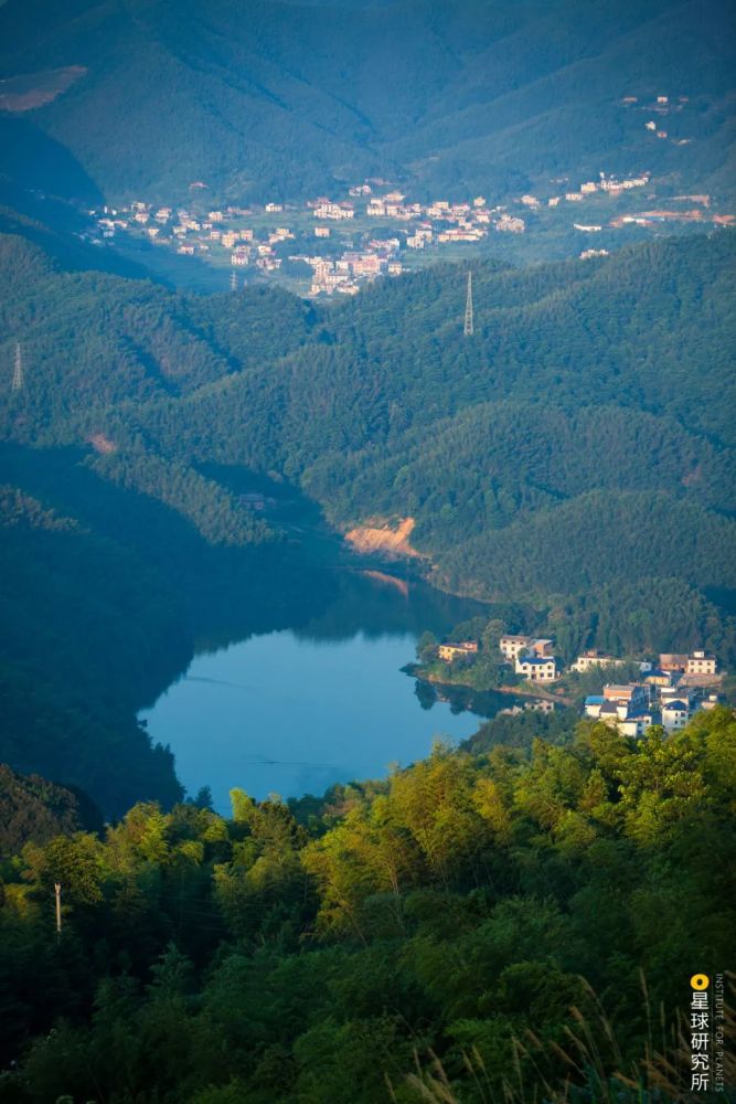 摄影师|植树造林，如何改变中国？