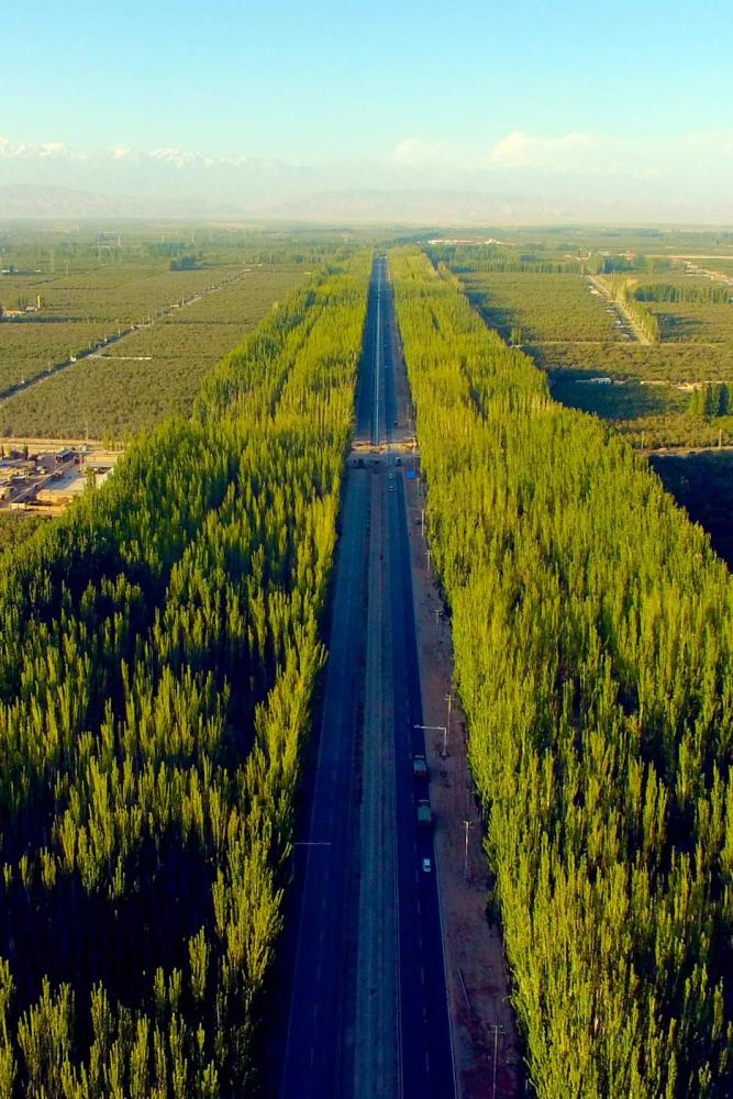 摄影师|植树造林，如何改变中国？