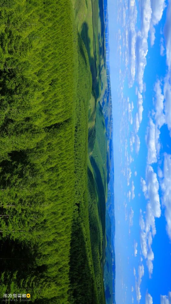 摄影师|植树造林，如何改变中国？