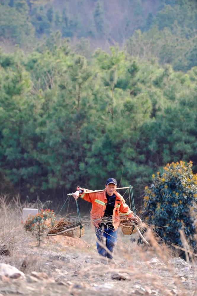 摄影师|植树造林，如何改变中国？
