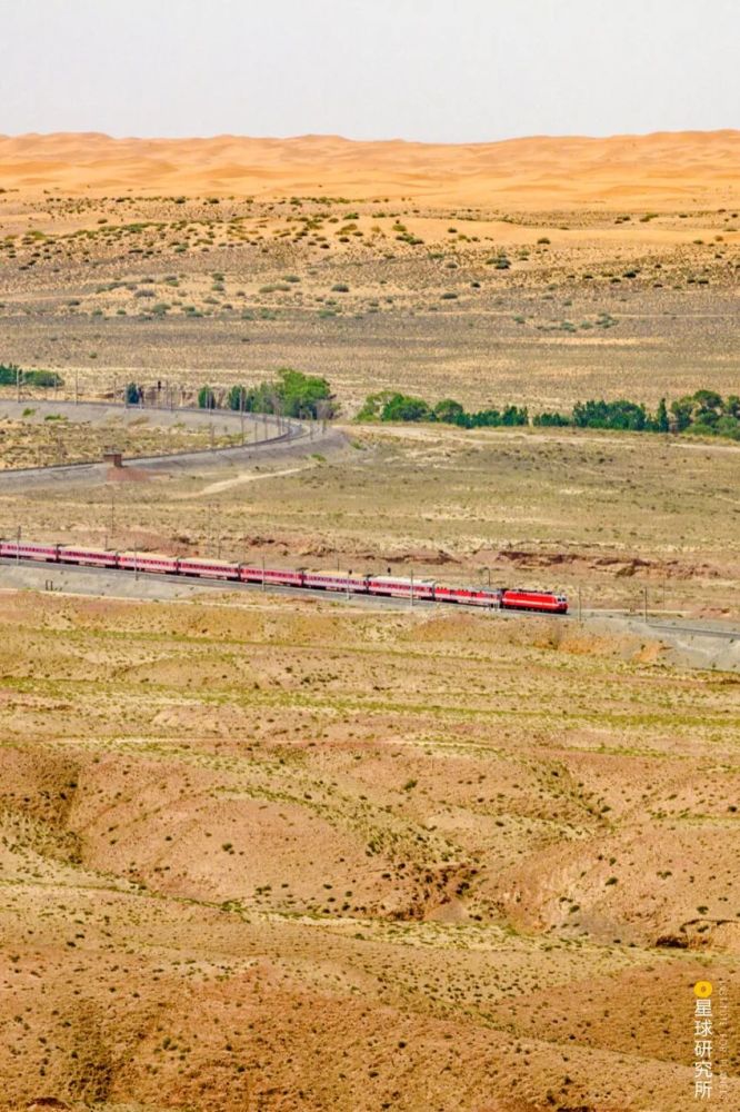 摄影师|植树造林，如何改变中国？