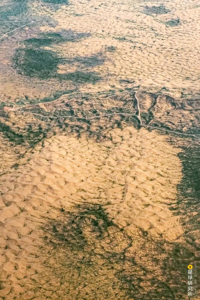 摄影师|植树造林，如何改变中国？