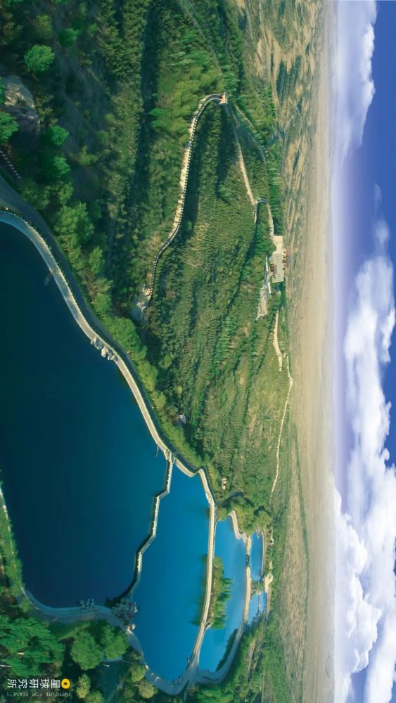 摄影师|植树造林，如何改变中国？