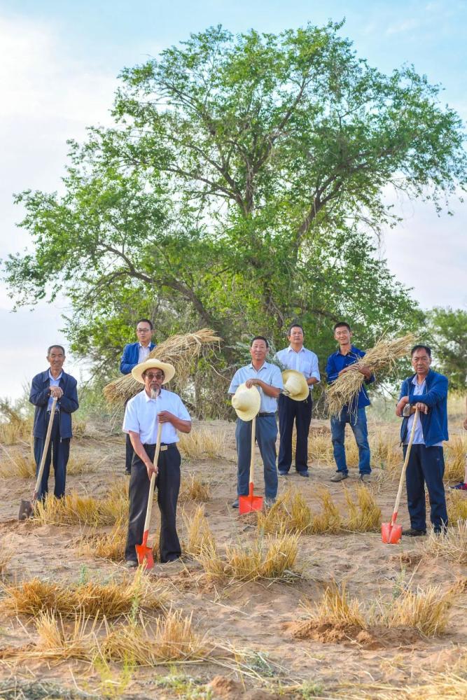 摄影师|植树造林，如何改变中国？