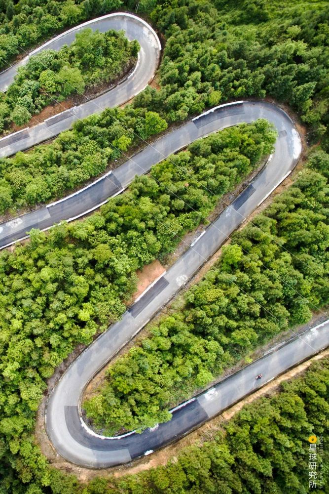 摄影师|植树造林，如何改变中国？