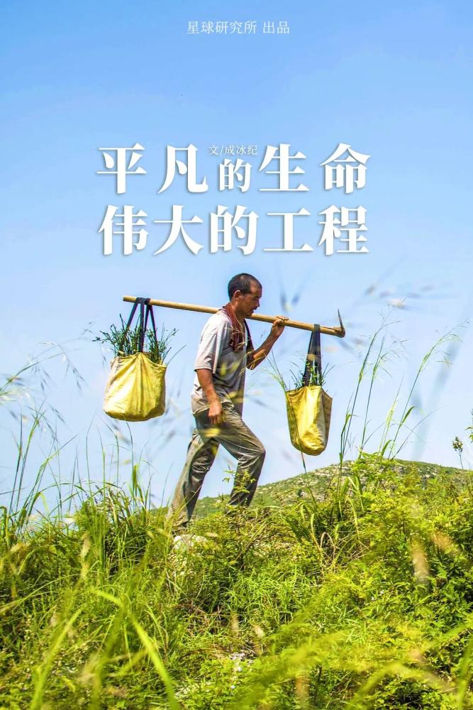 摄影师|植树造林，如何改变中国？