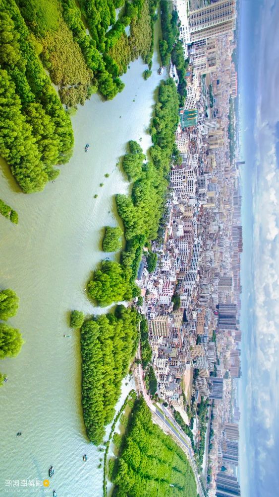 摄影师|植树造林，如何改变中国？