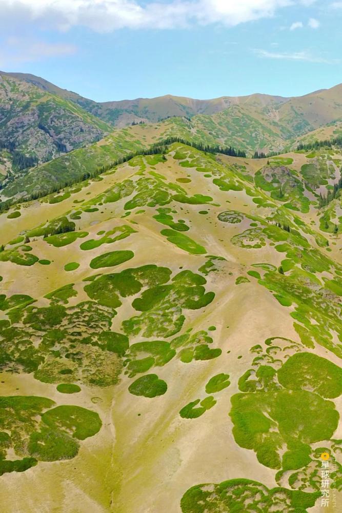 摄影师|植树造林，如何改变中国？