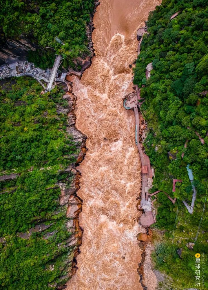 摄影师|植树造林，如何改变中国？