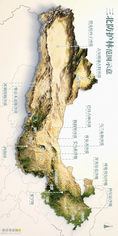 摄影师|植树造林，如何改变中国？