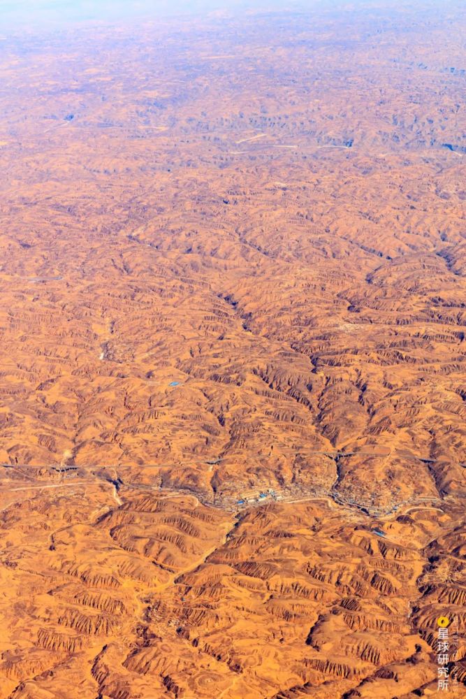 摄影师|植树造林，如何改变中国？