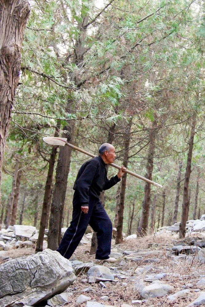 摄影师|植树造林，如何改变中国？
