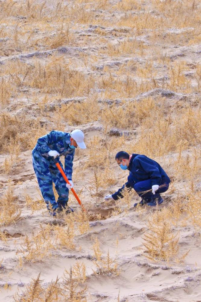 摄影师|植树造林，如何改变中国？