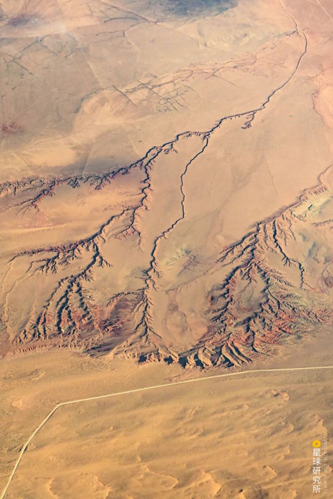 摄影师|植树造林，如何改变中国？