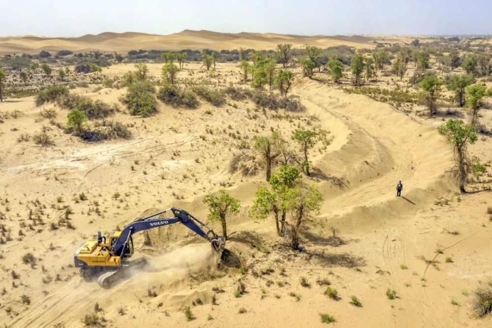 摄影师|植树造林，如何改变中国？