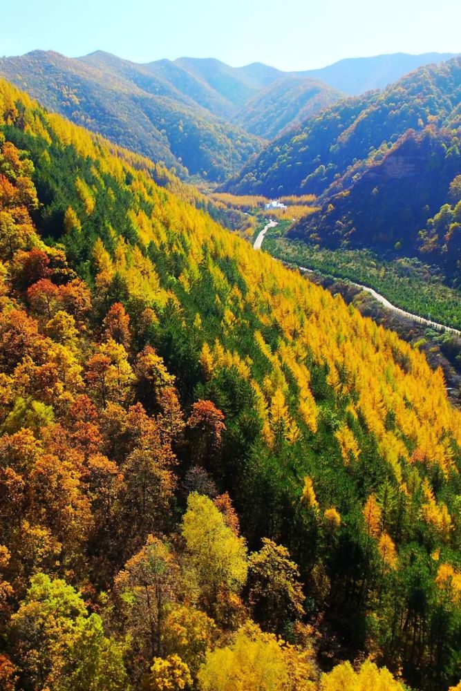 摄影师|植树造林，如何改变中国？