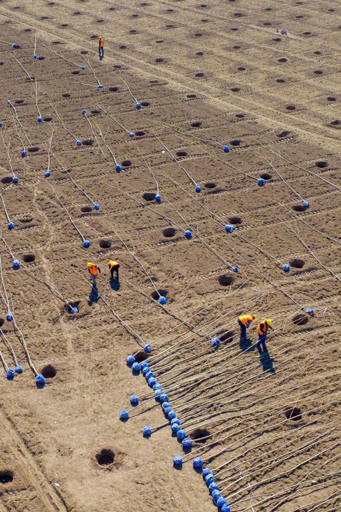摄影师|植树造林，如何改变中国？